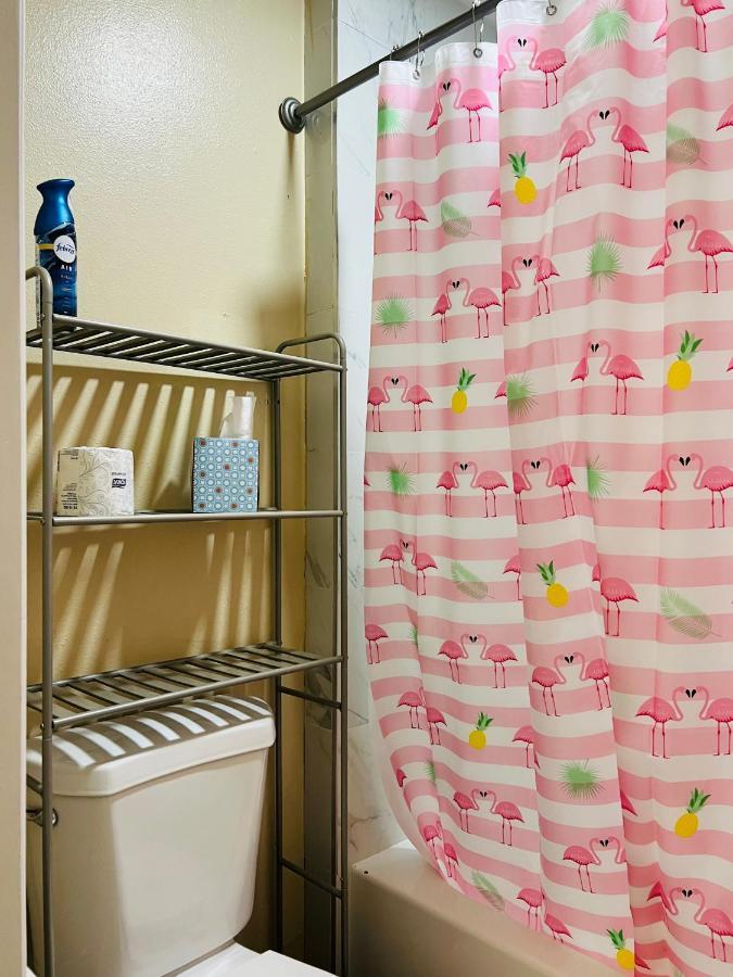 Apartment Near Tpa Airport Tampa Bagian luar foto